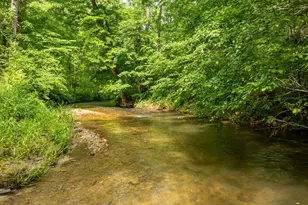 686 Laurel Hill Ln, Ellijay, GA 30536 - Photo 59
