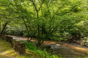 686 Laurel Hill Ln, Ellijay, GA 30536 - Photo 65