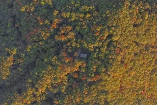 686 Laurel Hill Ln, Ellijay, GA 30536 - Photo 41