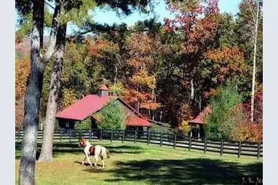686 Laurel Hill Lane, Ellijay, GA 30536 - Photo 69