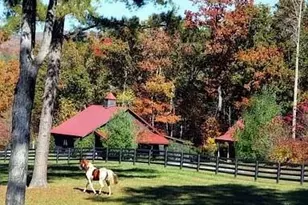 686 Laurel Hill Ln, Ellijay, GA 30536 - Photo 69