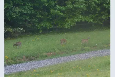 350 Kitty Hawk Lane, Clarkesville, GA 30523 - Photo 23