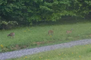 350 Kitty Hawk Ln, Clarkesville, GA 30523 - Photo 23