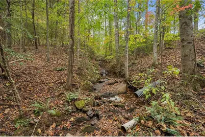 996 Wedgewood Drive, Big Canoe, GA 30143 - Photo 53