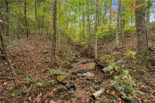 996 Wedgewood Dr, Big Canoe, GA 30143 - Photo 53