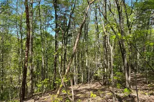 269 Appleberry Mountain Rd, Waleska, GA 30183 - Photo 1