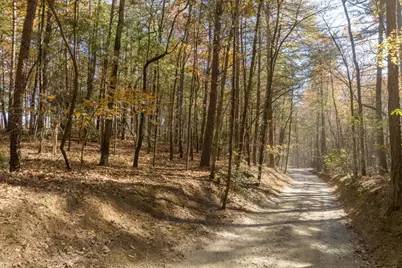 Tr 1 Old Anderson Creek, Ellijay, GA 30536 - Photo 5
