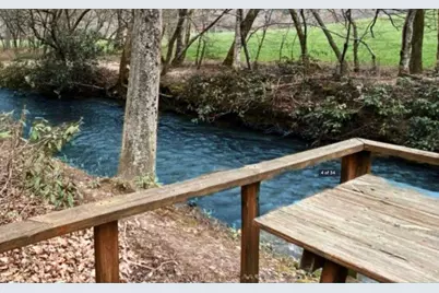 174 Lost Valley Road, Mineral Bluff, GA 30559 - Photo 25