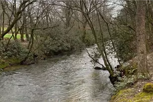 174 Lost Valley Rd, Mineral Bluff, GA 30559 - Photo 19