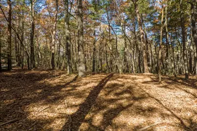 Tr 2 Old Anderson Creek, Ellijay, GA 30536 - Photo 5