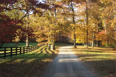 Tr 2 Old Anderson Creek, Ellijay, GA 30536 - Photo 19