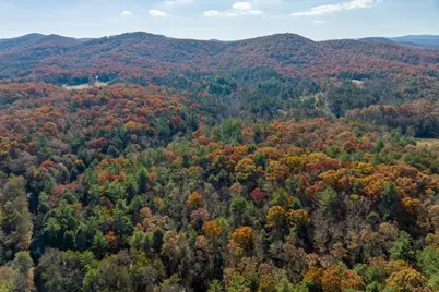 Tr 2 Old Anderson Creek, Ellijay, GA 30536 - Photo 9
