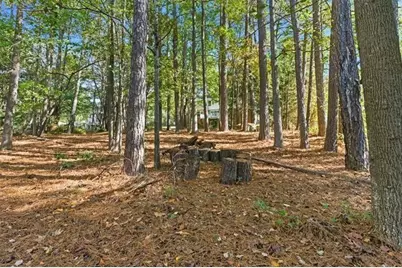 190 Willow Lake Lane, Sharpsburg, GA 30277 - Photo 47