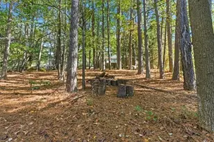 190 Willow Lake Ln, Sharpsburg, GA 30277 - Photo 47