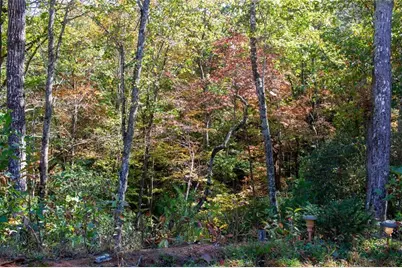 195 Laurel Hill Lane, Ellijay, GA 30536 - Photo 15