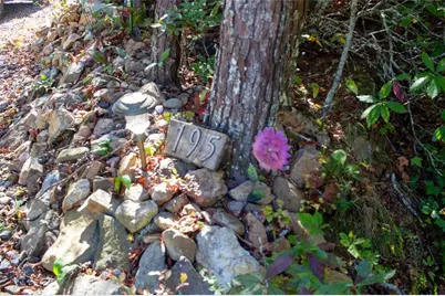 195 Laurel Hill Lane, Ellijay, GA 30536 - Photo 9