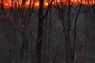 5234 Laurel Ln, Gainesville, GA 30506 - Photo 51