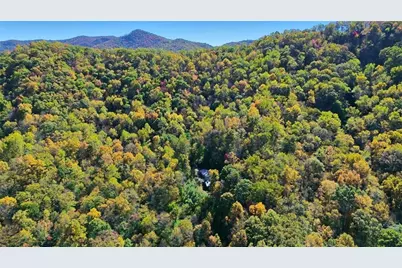 73 Redbird Lane, Rabun Gap, GA 30568 - Photo 5