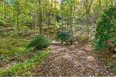 73 Redbird Lane, Rabun Gap, GA 30568 - Photo 7