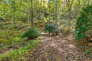 73 Redbird Ln, Rabun Gap, GA 30568 - Photo 7