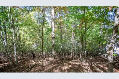 7836 Beachwood Drive, Murrayville, GA 30564 - Photo 3