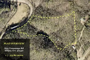 824 Conasauga Rd, Ellijay, GA 30540 - Photo 5