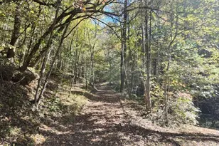 824 Conasauga Rd, Ellijay, GA 30540 - Photo 13