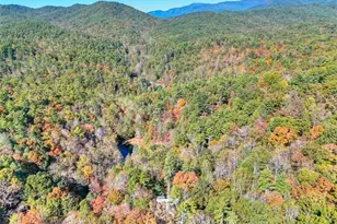 824 Conasauga Rd, Ellijay, GA 30540 - Photo 7