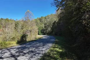 824 Conasauga Rd, Ellijay, GA 30540 - Photo 9