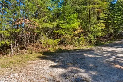 1666 Hunter Drive, Ranger, GA 30734 - Photo 3