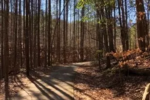 116 Cherokee Cv, Waleska, GA 30183 - Photo 37