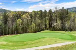 116 Cherokee Cv, Waleska, GA 30183 - Photo 29