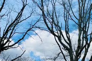 1509 High Point Rd, Bowdon, GA 30108 - Photo 73