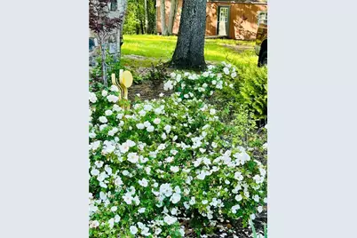 1509 High Point Road, Bowdon, GA 30108 - Photo 77