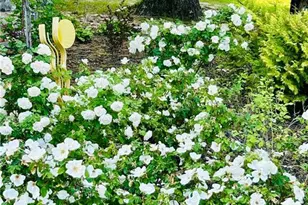 1509 High Point Rd, Bowdon, GA 30108 - Photo 77