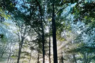 1509 High Point Rd, Bowdon, GA 30108 - Photo 75