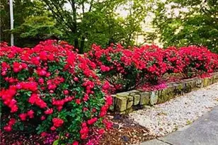 1509 High Point Rd, Bowdon, GA 30108 - Photo 65