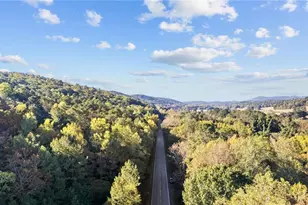 0 Mill Rd, Cave Spring, GA 30124 - Photo 1