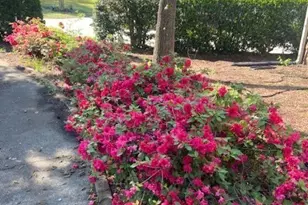 5004 Delverton Ct, Atlanta, GA 30338 - Photo 53