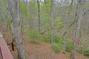 2232 Burnt Mountain Rd, Jasper, GA 30143 - Photo 41