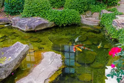 550 Blue Heron Way, Milton, GA 30004 - Photo 97