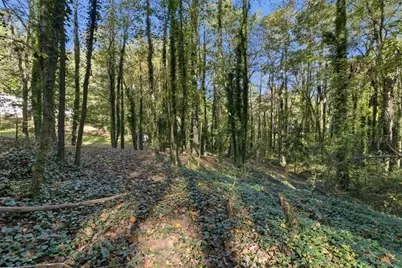 1768 Balsa Lane, Acworth, GA 30102 - Photo 9