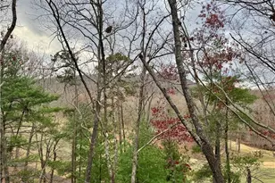 178 Sconti Ridge Dr, Big Canoe, GA 30143 - Photo 3