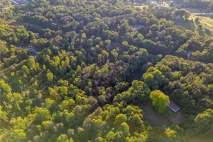 222 N Mize Rd, Mount Airy, GA 30563 - Photo 51