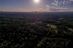 222 N Mize Rd, Mount Airy, GA 30563 - Photo 53