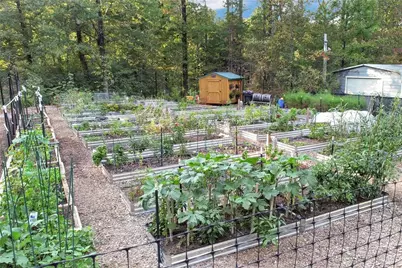 1047 Nugget Court, Dahlonega, GA 30533 - Photo 41