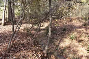 4380 Rockrose Green Way, Gainesville, GA 30504 - Photo 59