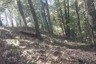 2037 Kingswood Dr, Marietta, GA 30066 - Photo 1