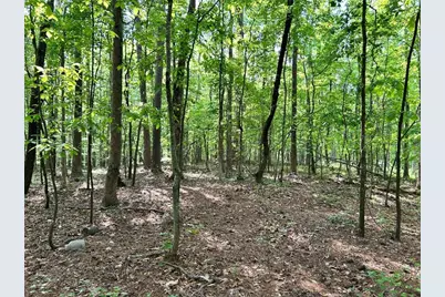 5219 Union Hill Road, Alpharetta, GA 30004 - Photo 9