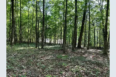 5219 Union Hill Road, Alpharetta, GA 30004 - Photo 5